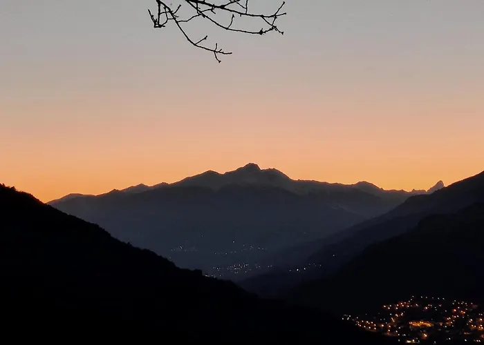 Alpine House Cin-0014 페니스